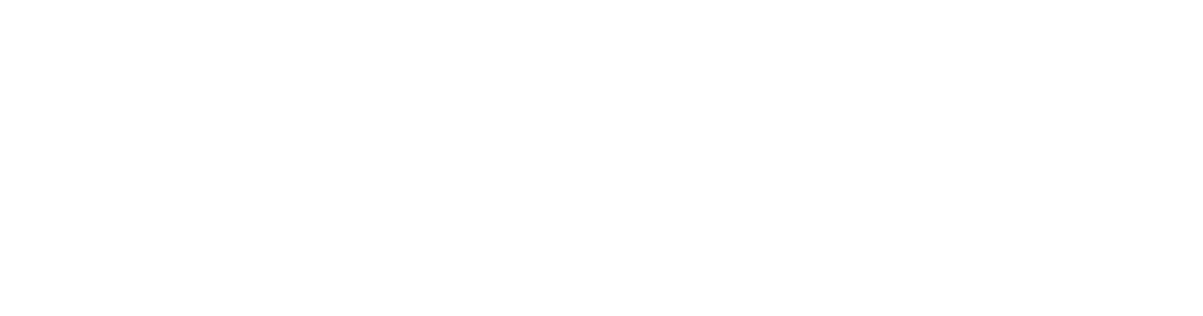 Auto Interiors of London